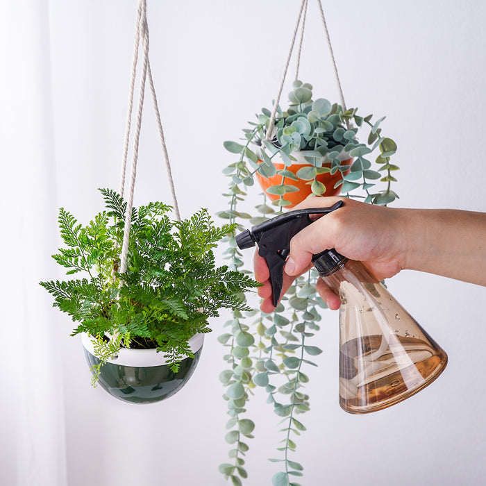 Jofamy hanging planters for indoor plants wall planter plant hanger indoor hanging plant wall planters for indoor plants hanging planters hanging planter hanging plant holder indoor hanging planters wall hanging planter hanging wall planters window plant hanger hanging window planter