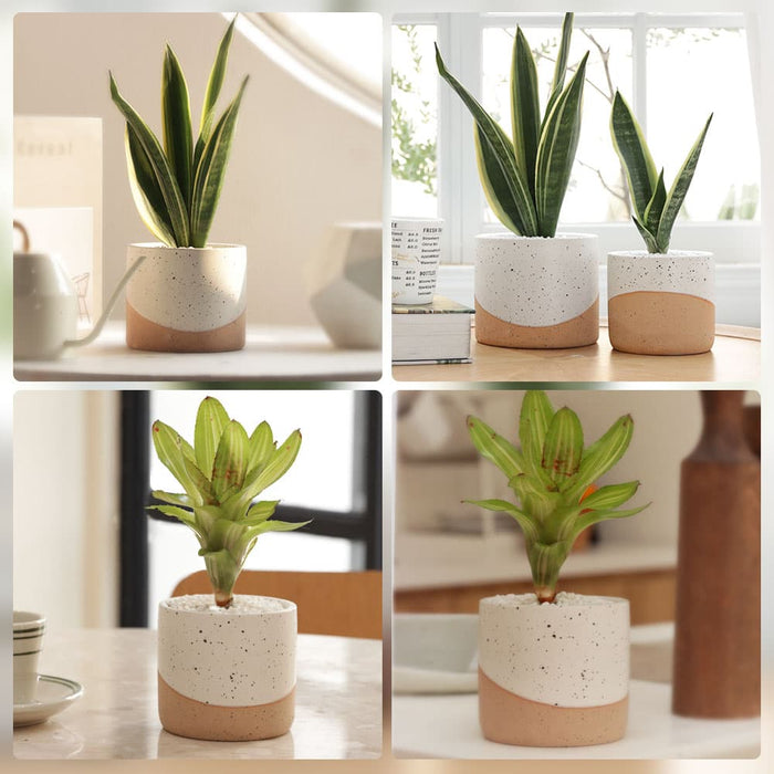 Jofamy ceramic pots for indoor plants neutral planter ceramic planter planters for indoor plants plant pots indoor pots for indoor plants indoor plant pots flower pots for indoor plants indoor planter white pots for indoor plants modern planter white pots for indoor plants white plant pots indoor pots for plants planter pots for indoor plants pots for plants indoor with drainage
