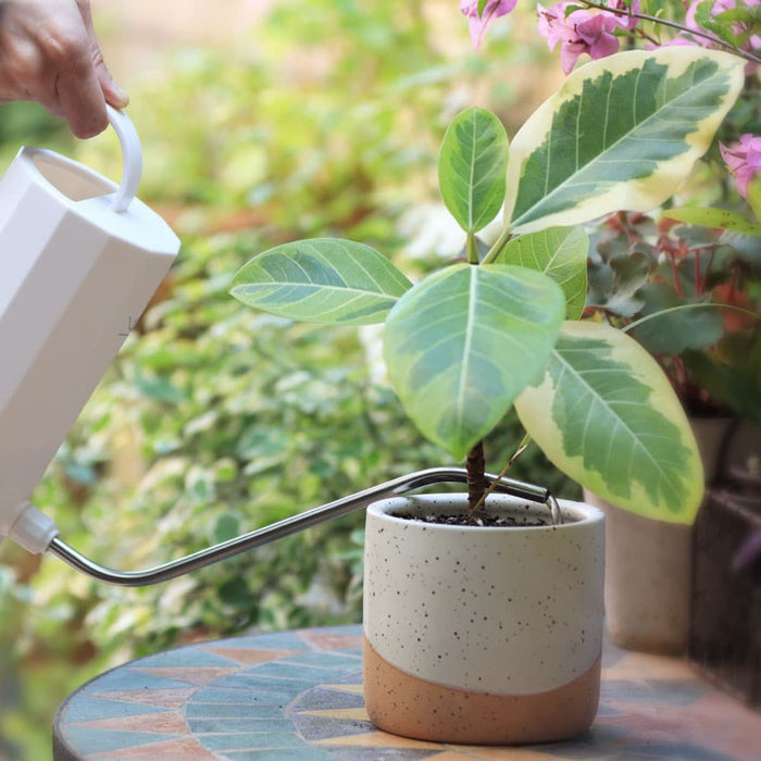 Jofamy ceramic pots for indoor plants neutral planter ceramic planter planters for indoor plants plant pots indoor pots for indoor plants indoor plant pots flower pots for indoor plants indoor planter white pots for indoor plants modern planter white pots for indoor plants white plant pots indoor pots for plants planter pots for indoor plants pots for plants indoor with drainage