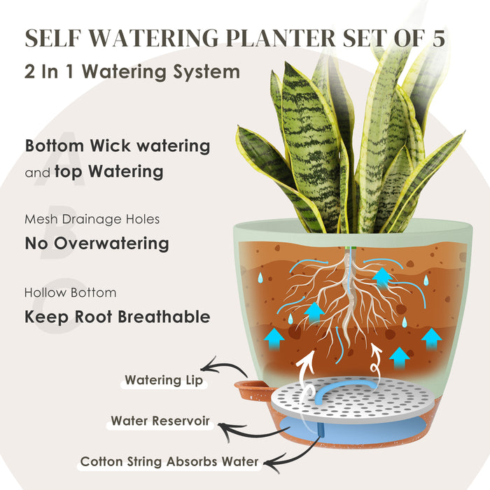 5 Pack Self Watering Planters-6 inch