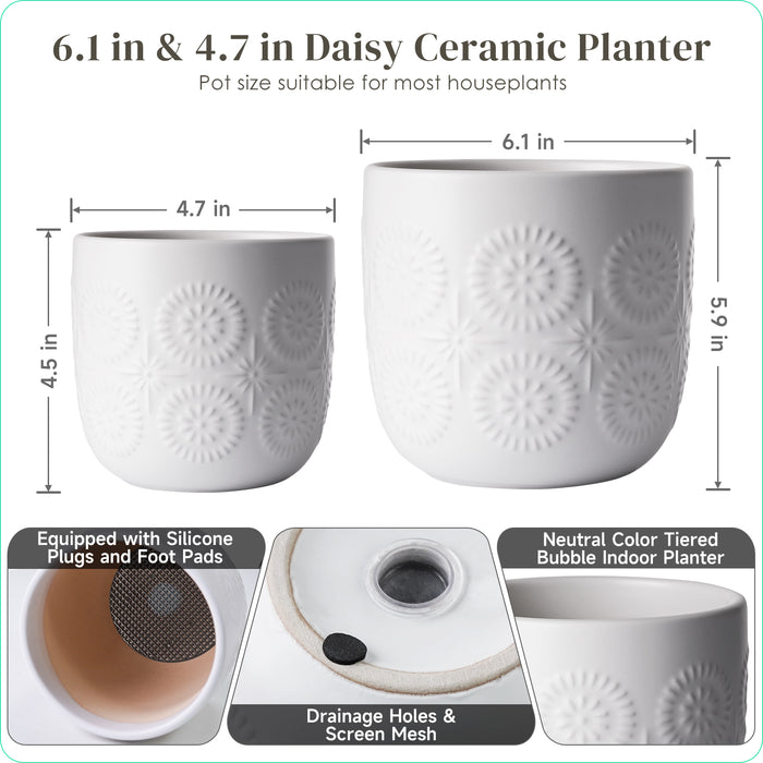Ceramic Embossed Daisy Planters-6 & 4.7 inch