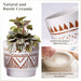 plant pots of evironmentally degradable breathable hand-painted ceramic embossed