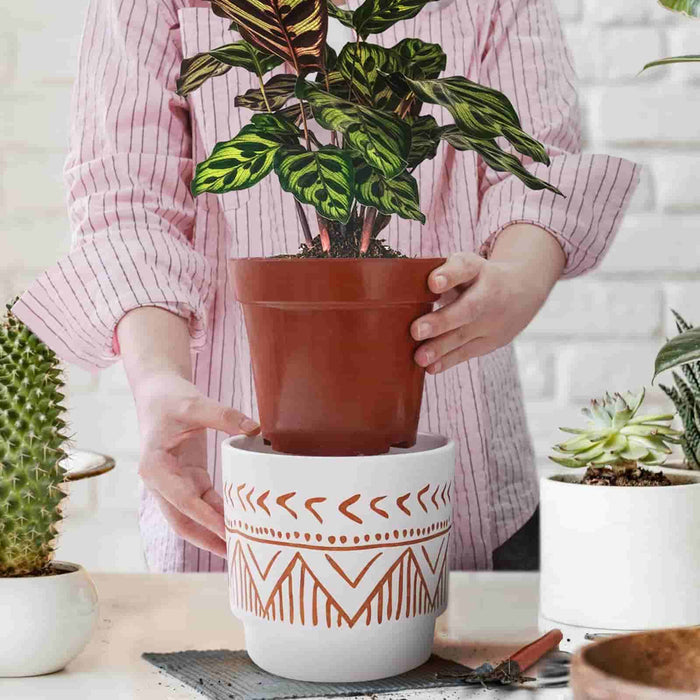 new plant pots 6 Inch Beige & Brown Ceramic Embossed Plant Pots, Set of 2