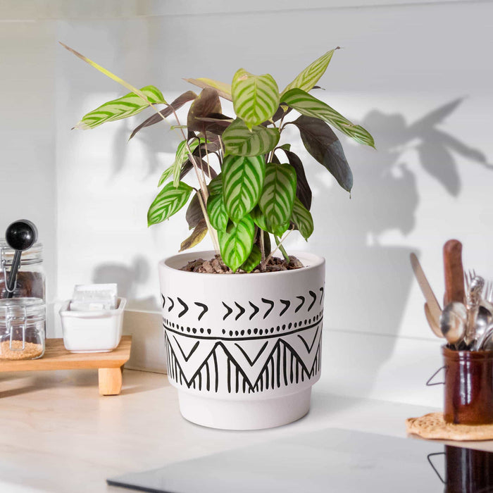 black and cream plant pot 6 Inch Beige&black Ceramic Embossed Plant Pots, Set of 2