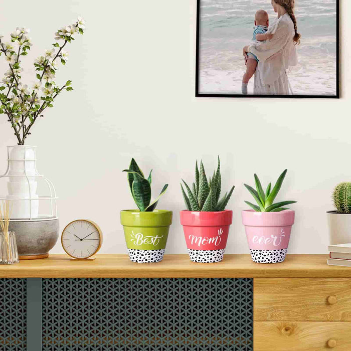 plant flower pots as home living room decoration