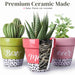 plant flower pots made of premium ceramic
