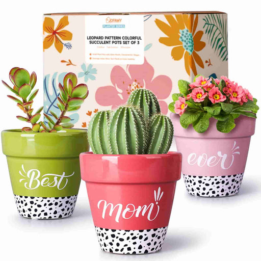 3 packs of 4 inch diameter indoor ceramic plant flowers pots as gifts 