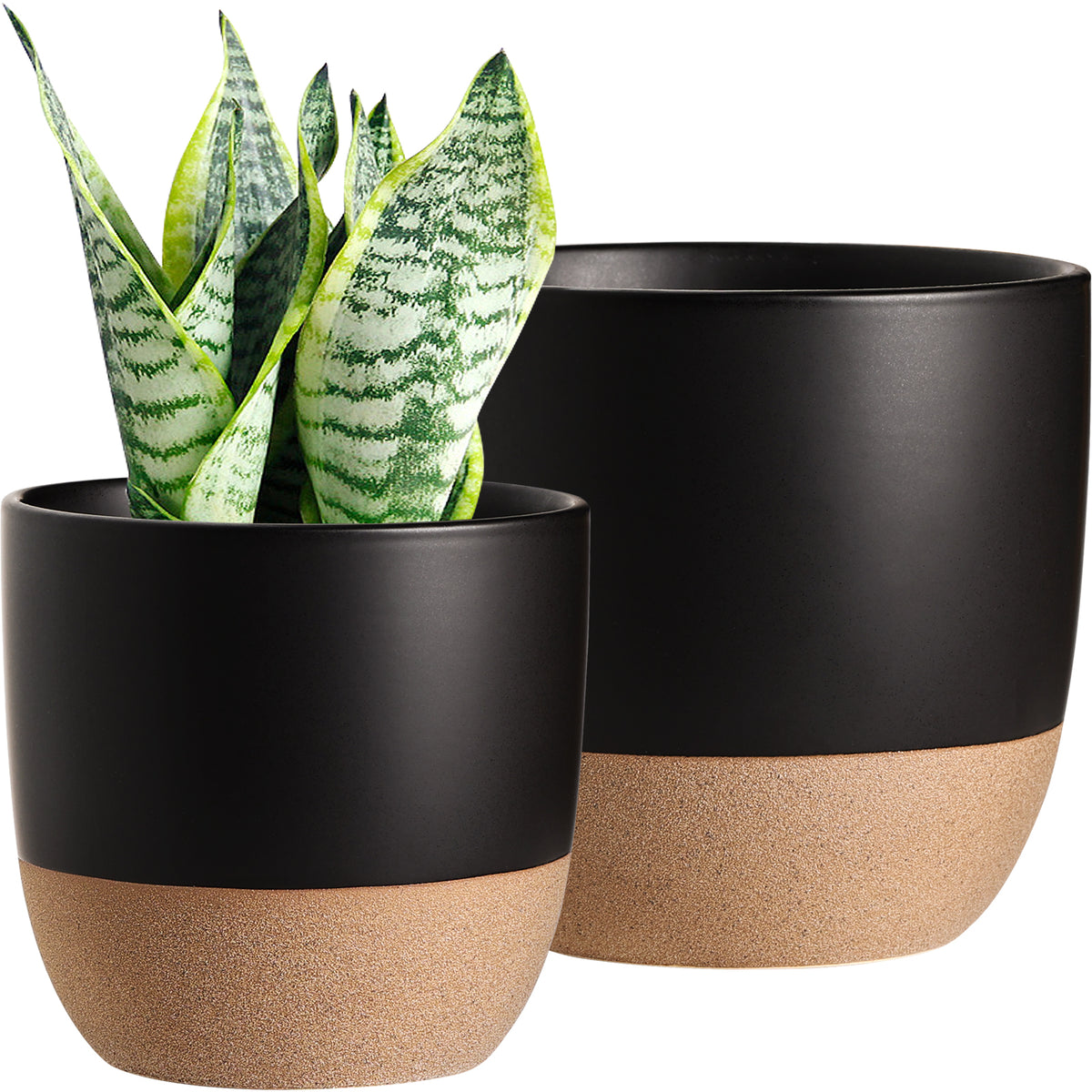 https://jofamy.com/cdn/shop/products/black-glazed-ceramic-planters-indoor-outdoor-with-drainage-hole_1200x1200.jpg?v=1658478439