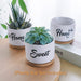 Jofamy home sweet home succulent planters gifts for grandma a gift for a friend succulent pot small succulent pots succulent pots with drainage pots for succulents succulent pots small flower pots small pots for succulents small ceramic pots for plants 4 inch pots for plants housewarming gift new home gifts for home best house warming gifts housewarming gifts for new house