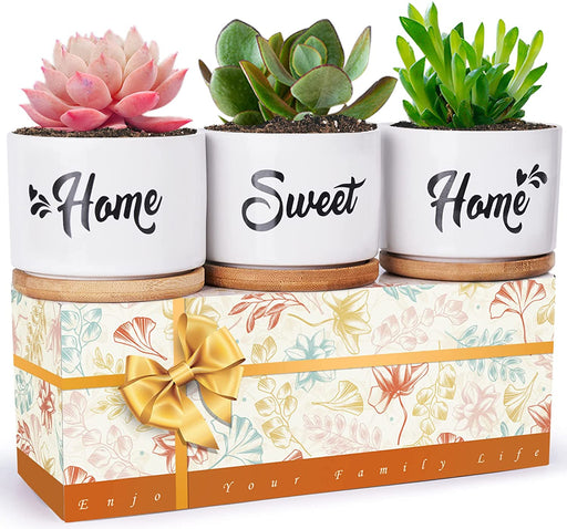 Jofamy home sweet home succulent planters gifts for grandma a gift for a friend succulent pot small succulent pots succulent pots with drainage pots for succulents succulent pots small flower pots small pots for succulents small ceramic pots for plants 4 inch pots for plants housewarming gift new home gifts for home best house warming gifts housewarming gifts for new house
