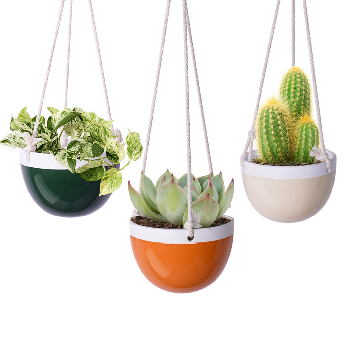 JOFAMY 3 Pack Ceramic Hanging Planters for Indoor Plants - 4 Inch Plant  Hanger Wall Decorative Flower Pot with Drainage Hole Cotton Rope for  Succulents, Cactus, Herbs Home Decor