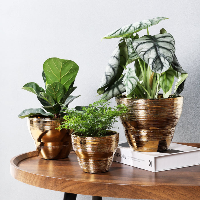 https://jofamy.com/cdn/shop/products/jofamy-7.1inch-5.9-inch-4.7-inch-ceramic-plant-pots-brushed-gold-finish-planter-with-drainage-hole-for-indoor-plants-3_700x700.jpg?v=1675239615