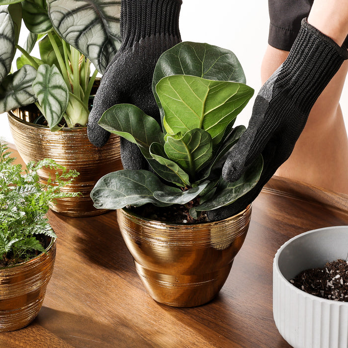 https://jofamy.com/cdn/shop/products/jofamy-7.1inch-5.9-inch-4.7-inch-ceramic-plant-pots-brushed-gold-finish-planter-with-drainage-hole-for-indoor-plants-6_700x700.jpg?v=1675239615