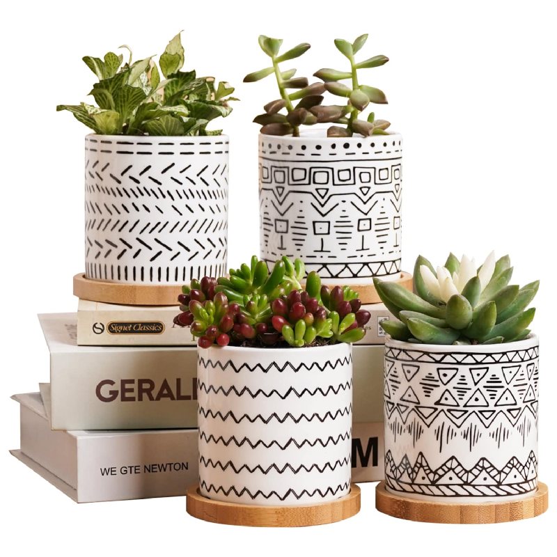  Vivimee 2 Pack Ceramic Flower Plant Pots, 5 Inch , Planter Set  with Drainage Hole for Indoor Plants, Cactus, Succulent, Snake Plants,  Bamboo, Clay Pottery Garden Pots for Outdoor Plants(Gray) 