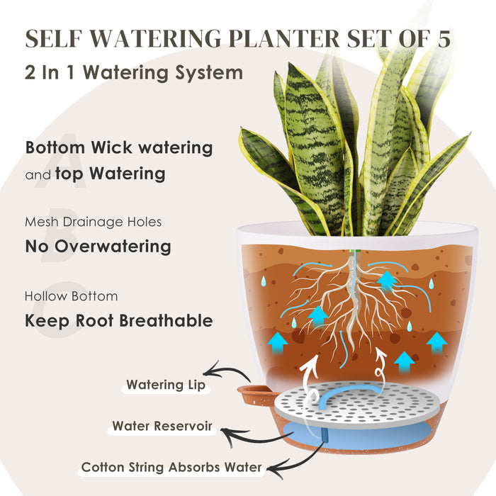https://jofamy.com/cdn/shop/products/jofamy-plastic-5-packs-self-watering-planters-pots-for-indoor-outdoor-plants-4_700x700.jpg?v=1675239441