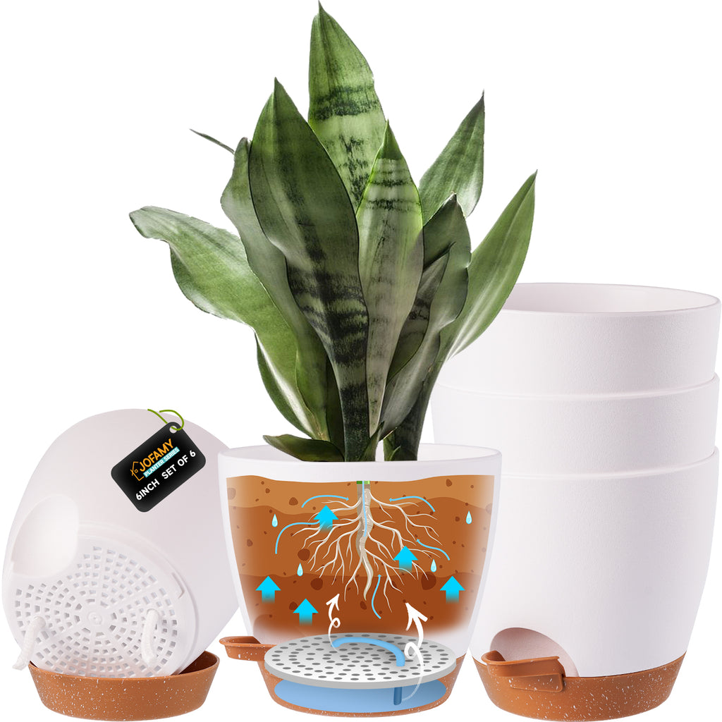 YNNICO 6 inch Plant Pots, 5 Pack Flower Pots Outdoor Indoor, Planters with  Drainage Hole and Tray Saucer