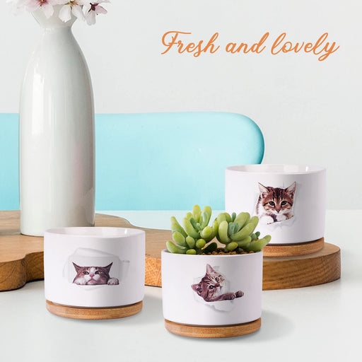 Jofamy print kitty succulent planters gifts for grandma a gift for a friend succulent pot small succulent pots succulent pots with drainage pots for succulents succulent pots small flower pots small pots for succulents small ceramic pots for plants 4 inch pots for plants housewarming gift new home gifts for home best house warming gifts housewarming gifts for new house