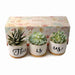 Jofamy this is us succulent planters gifts for grandma a gift for a friend succulent pot small succulent pots succulent pots with drainage pots for succulents succulent pots small flower pots small pots for succulents small ceramic pots for plants 4 inch pots for plants housewarming gift new home gifts for home best house warming gifts housewarming gifts for new house